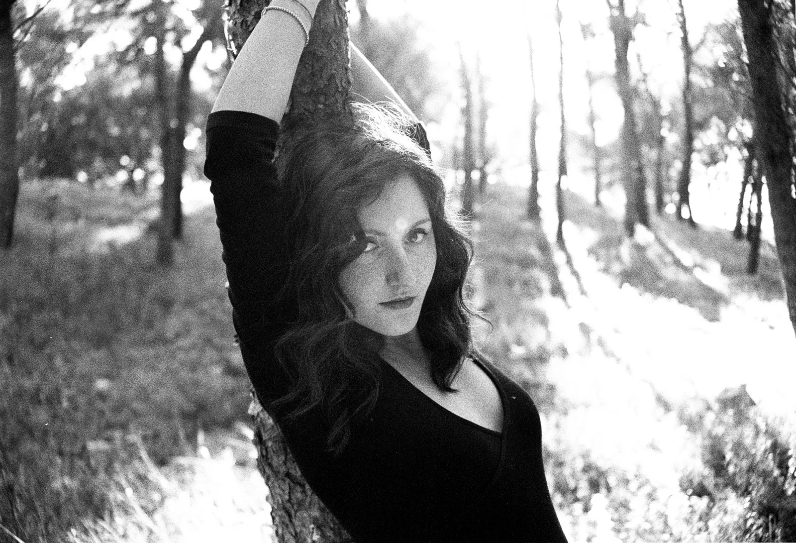 Black flowers