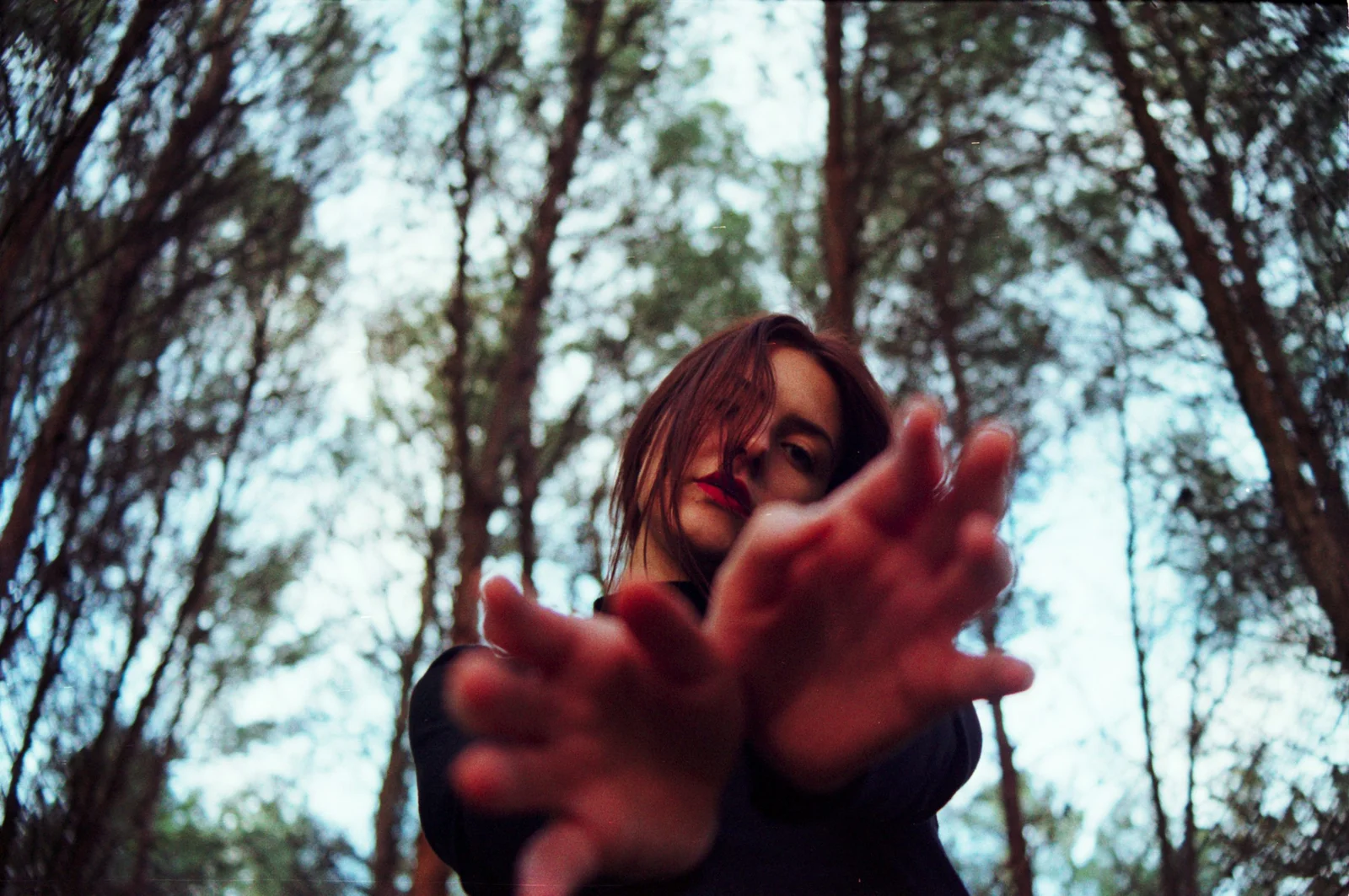 Safer in the forest — photograph 2