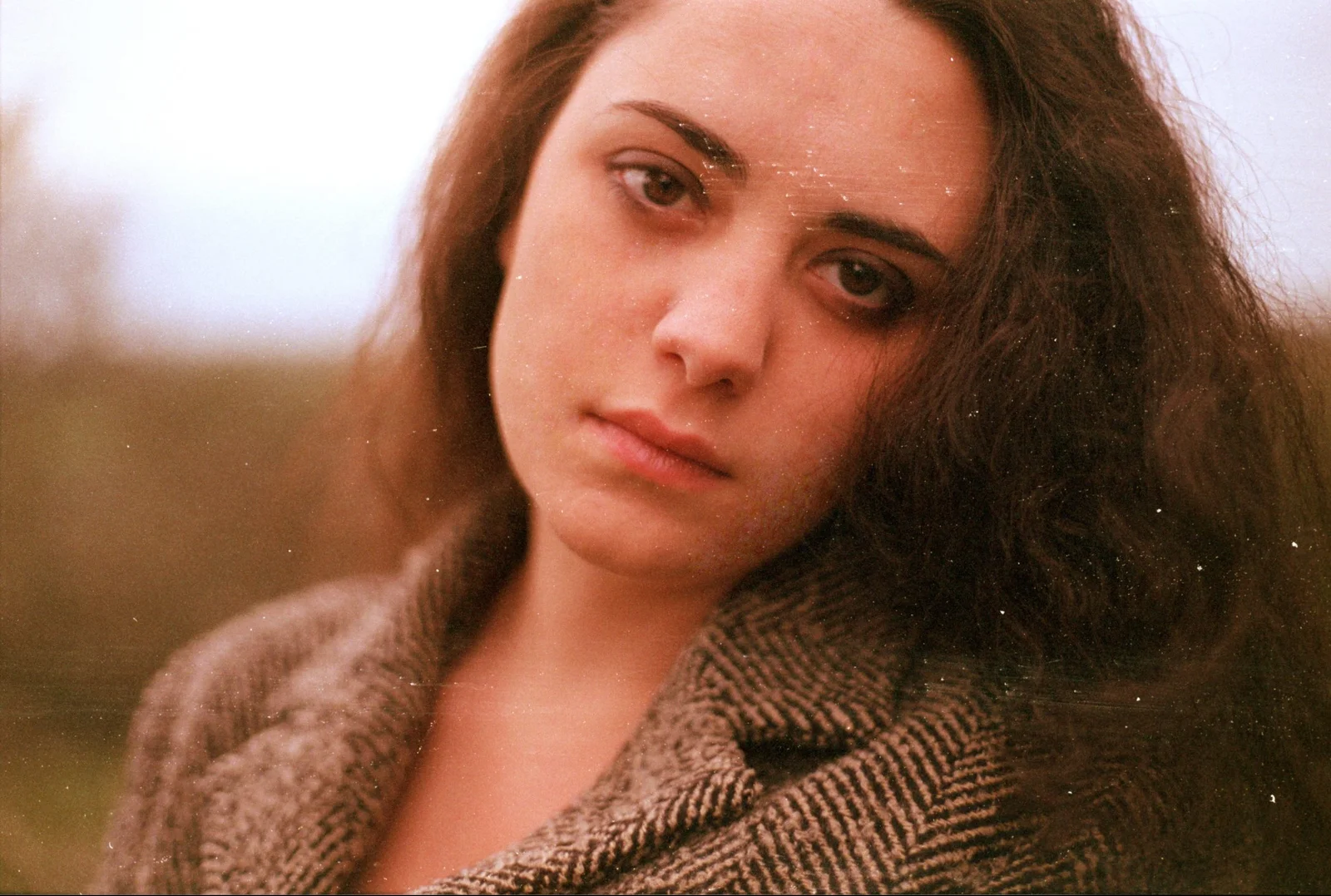 Halo — photograph 2