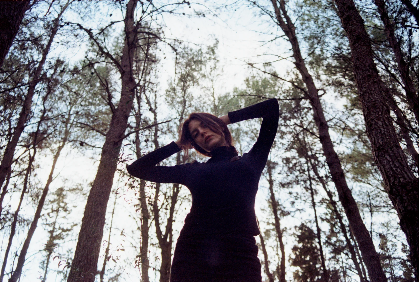 Safer in the forest — photograph 3