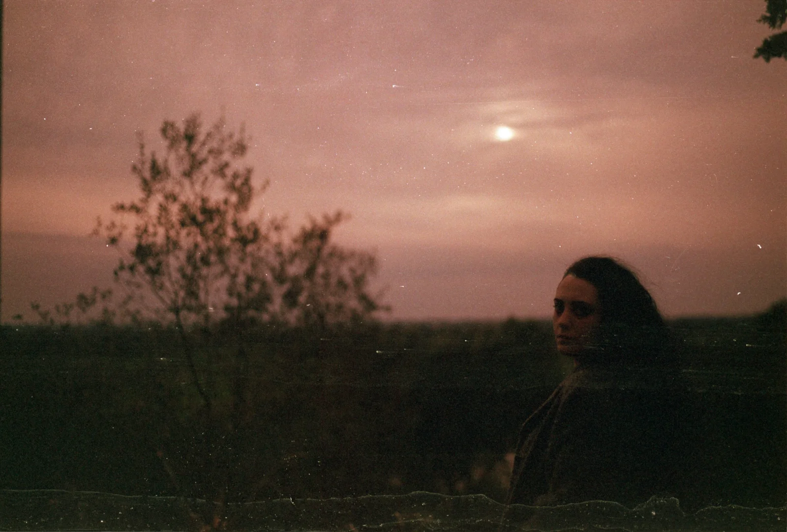 Halo — photograph 3