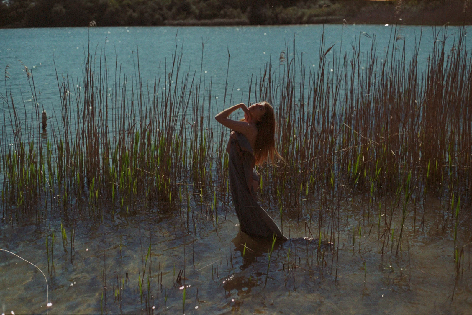 Wildlife — photograph 4
