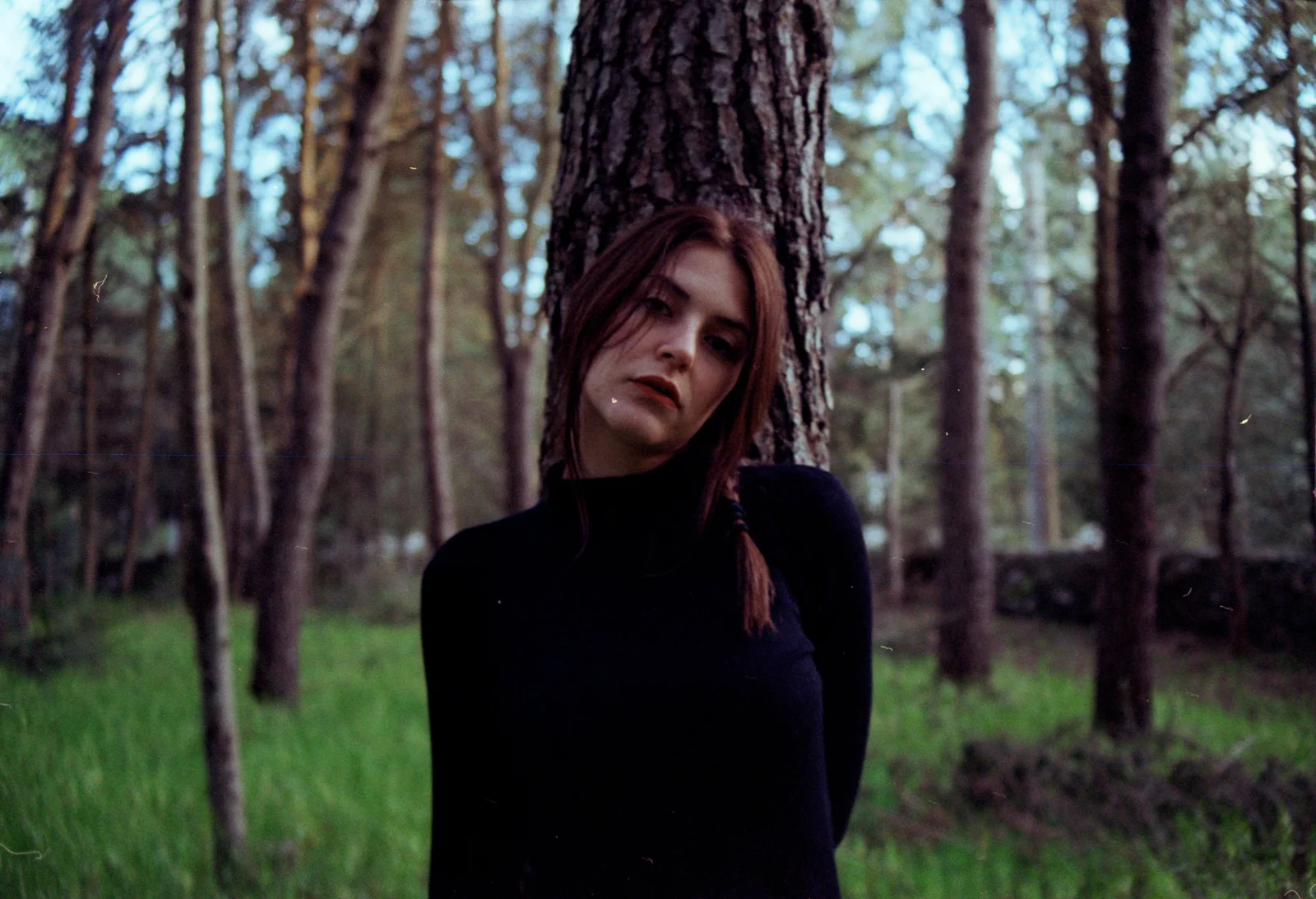 Safer in the forest — photograph 4