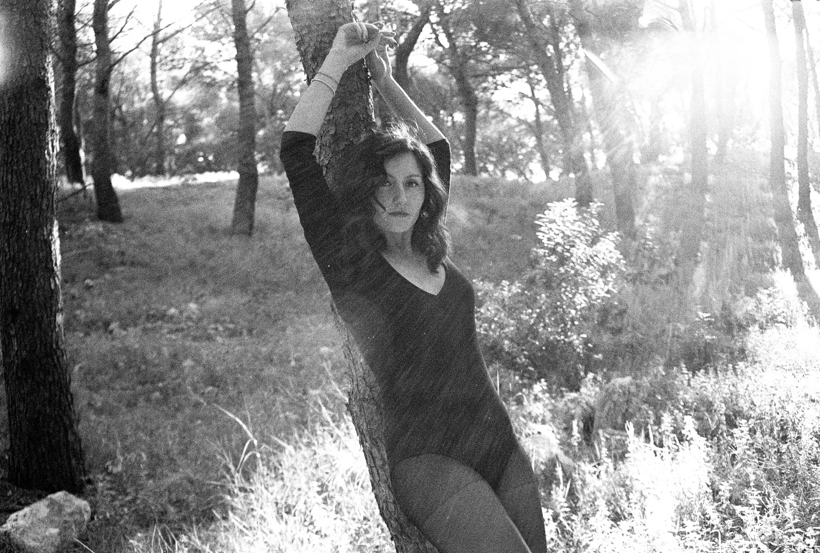 Black flowers — photograph 4