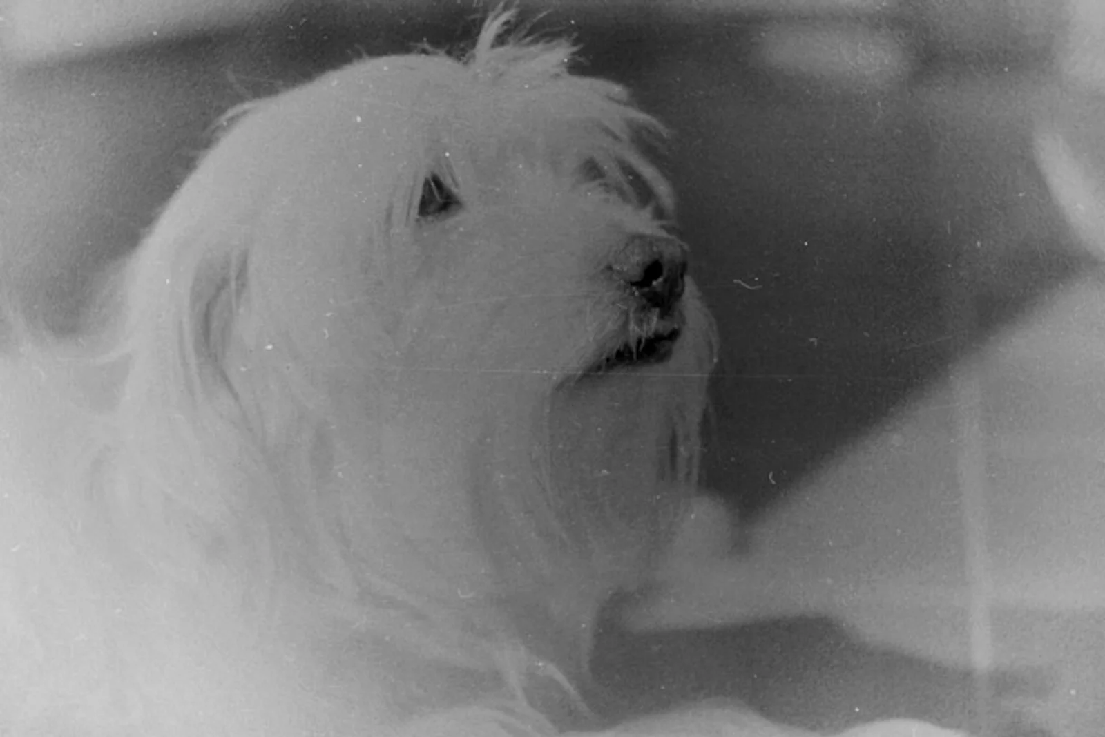 Diary, black and white — 119