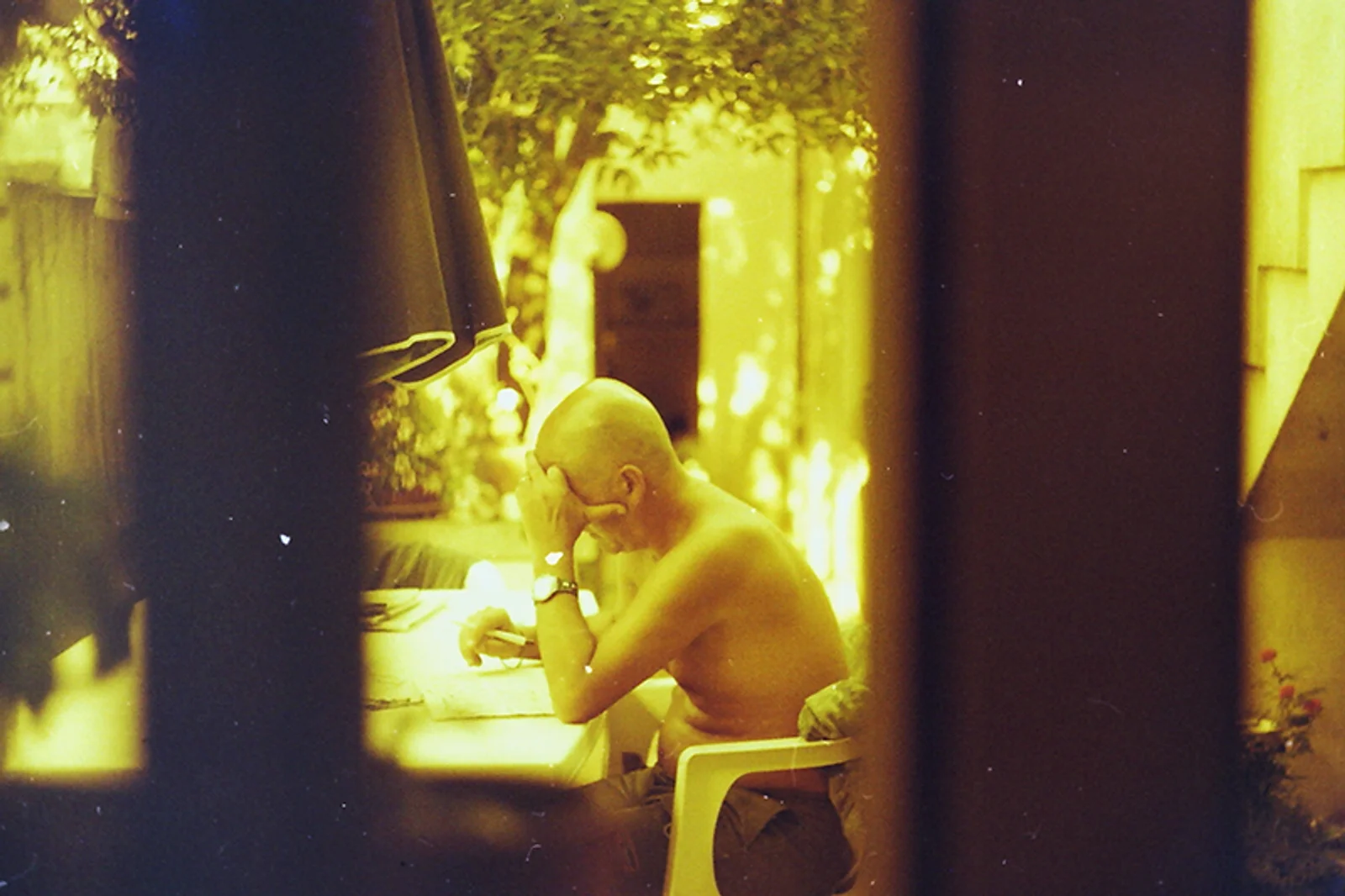 Diary, color — 220