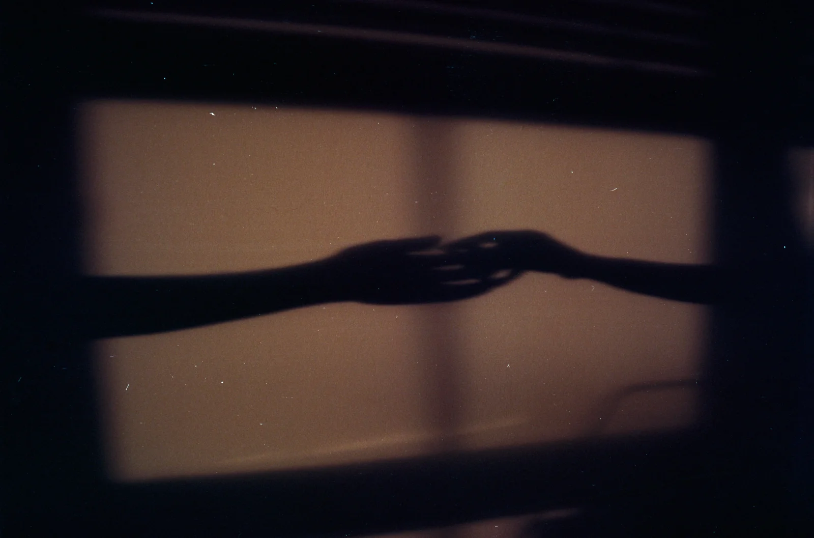 Satellite of love — photograph 5