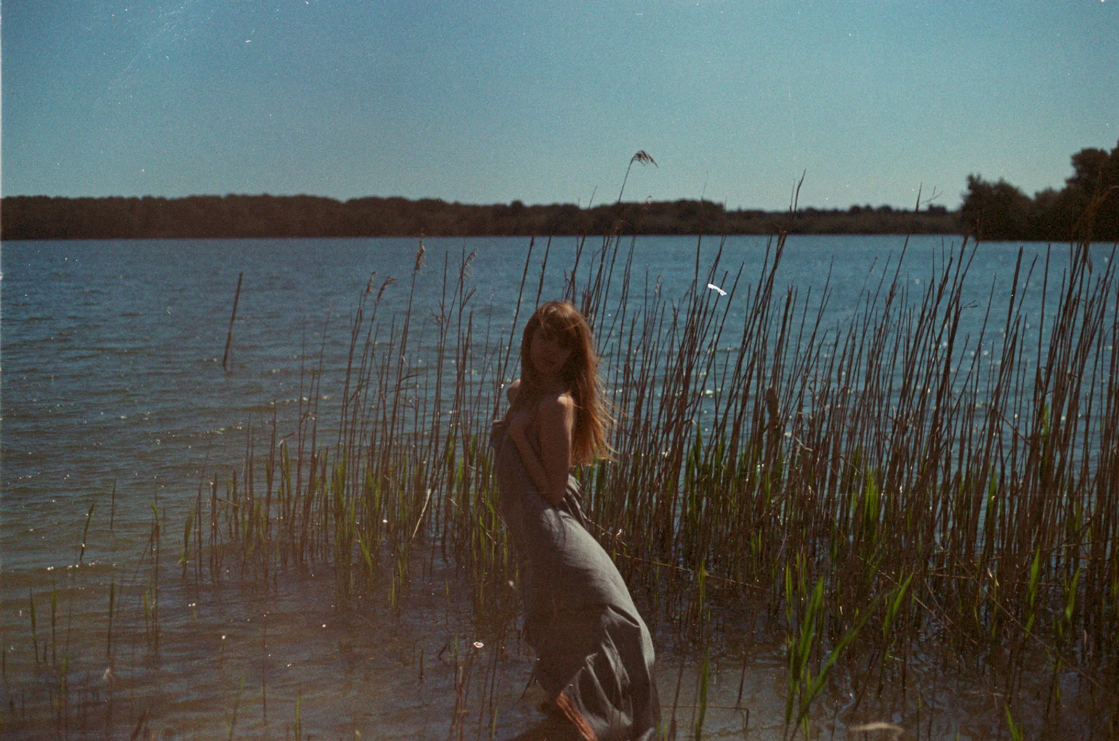Wildlife — photograph 5