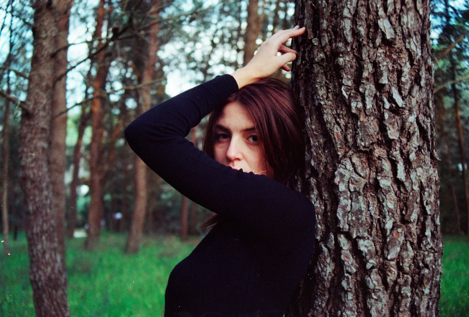 Safer in the forest — photograph 5