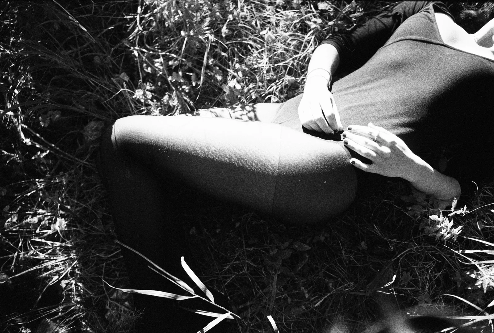 Black flowers — photograph 6