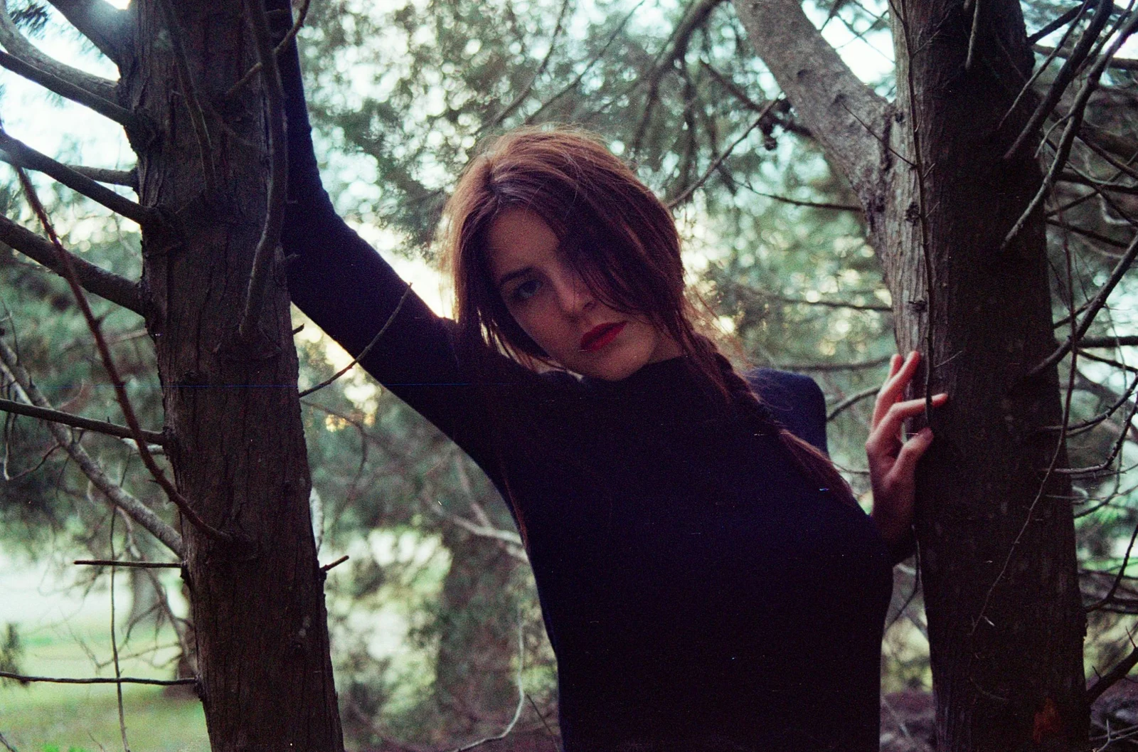 Safer in the forest — photograph 6