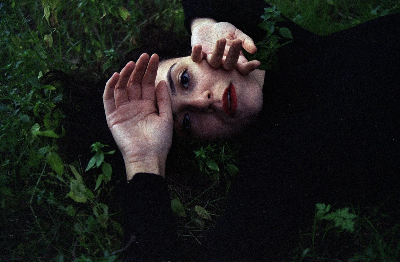 Safer in the forest — photograph 7