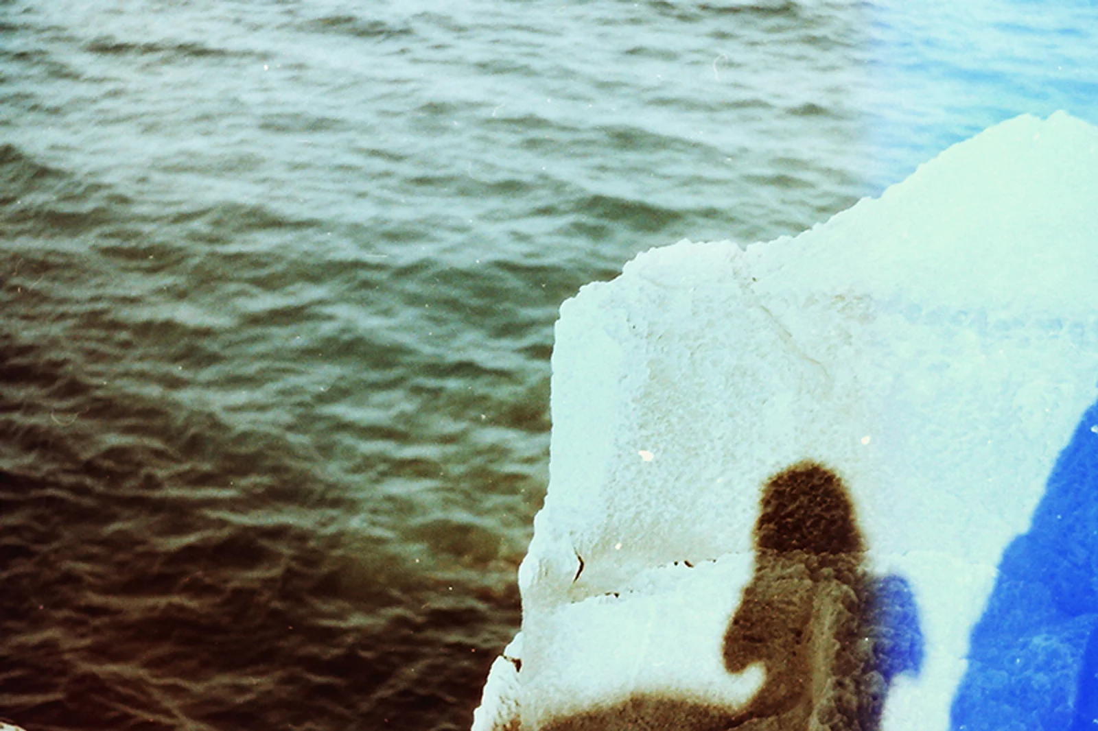 Diary, color — 218