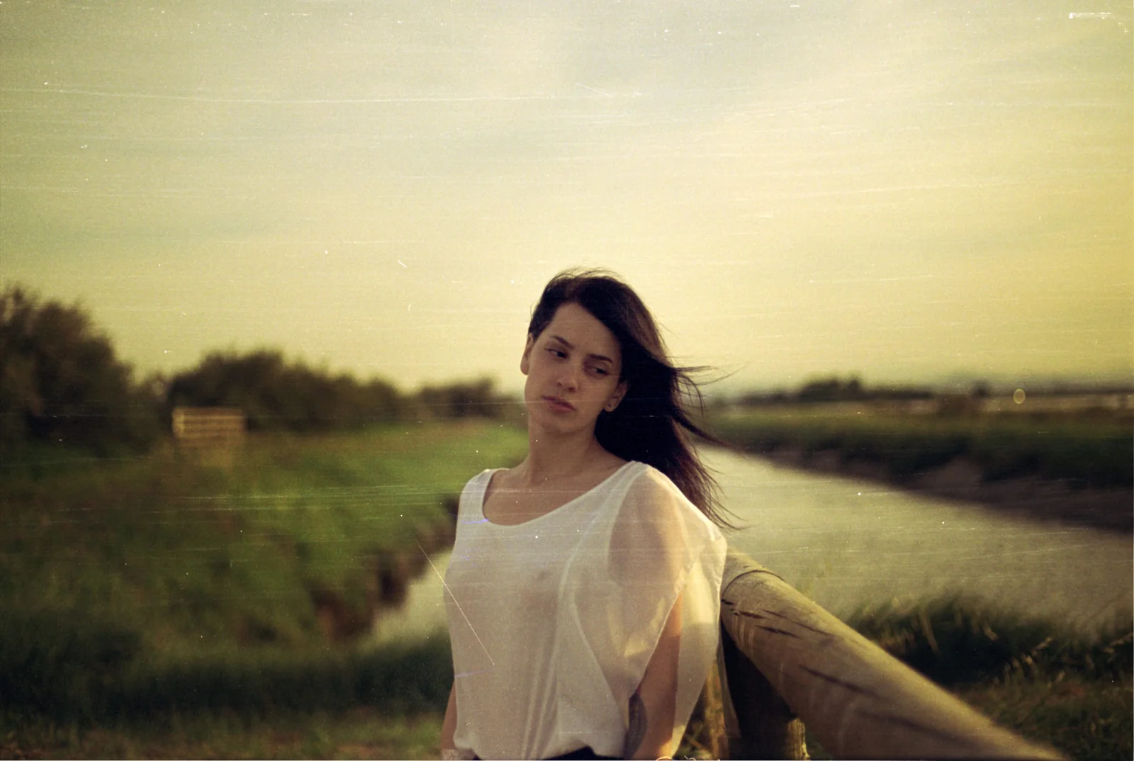 Triumphant — photograph 7