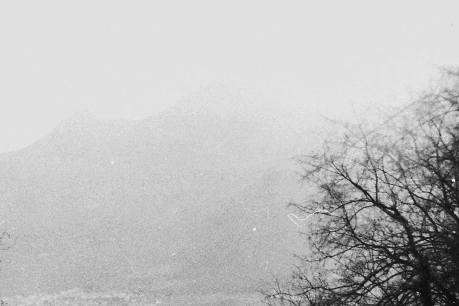Diary, black and white — 116