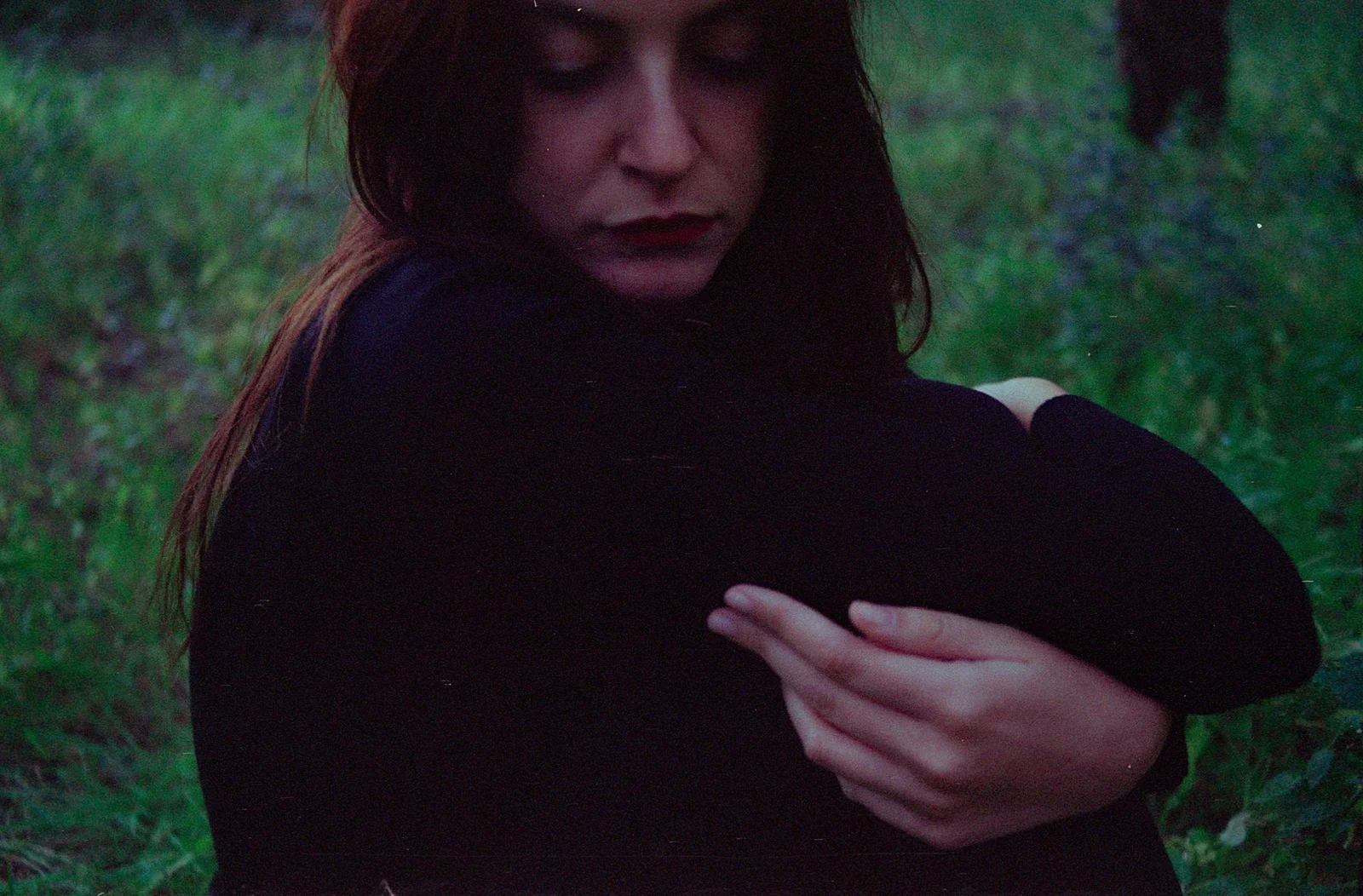 Safer in the forest — photograph 8
