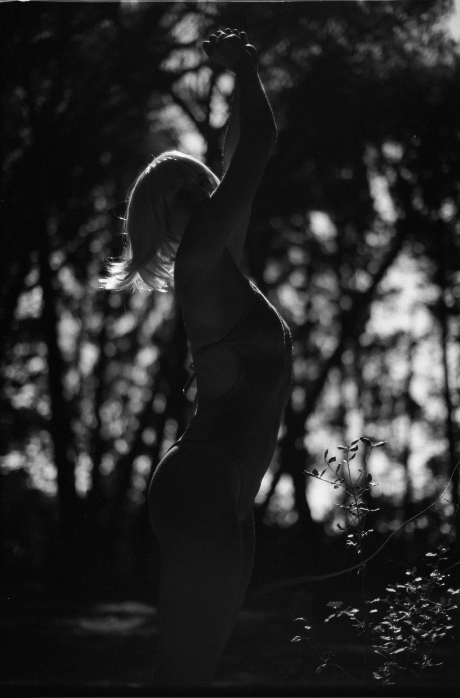 Waking the witch — Black & White — photograph 8
