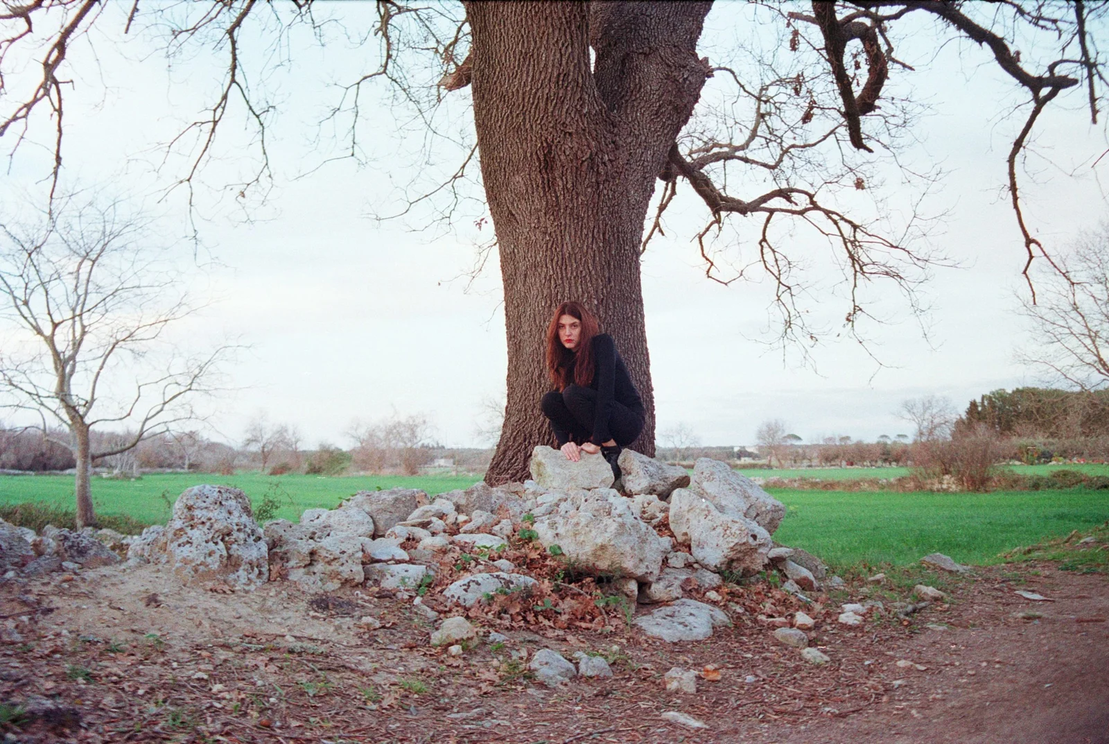Safer in the forest — photograph 9