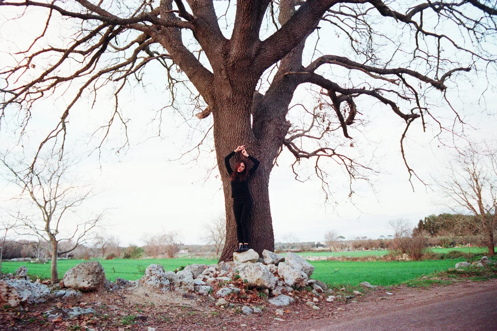 Safer in the forest — photograph 10