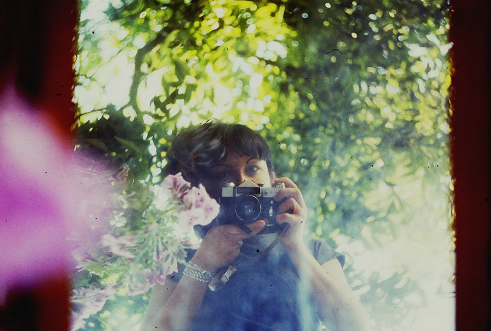 Diary, color — 215