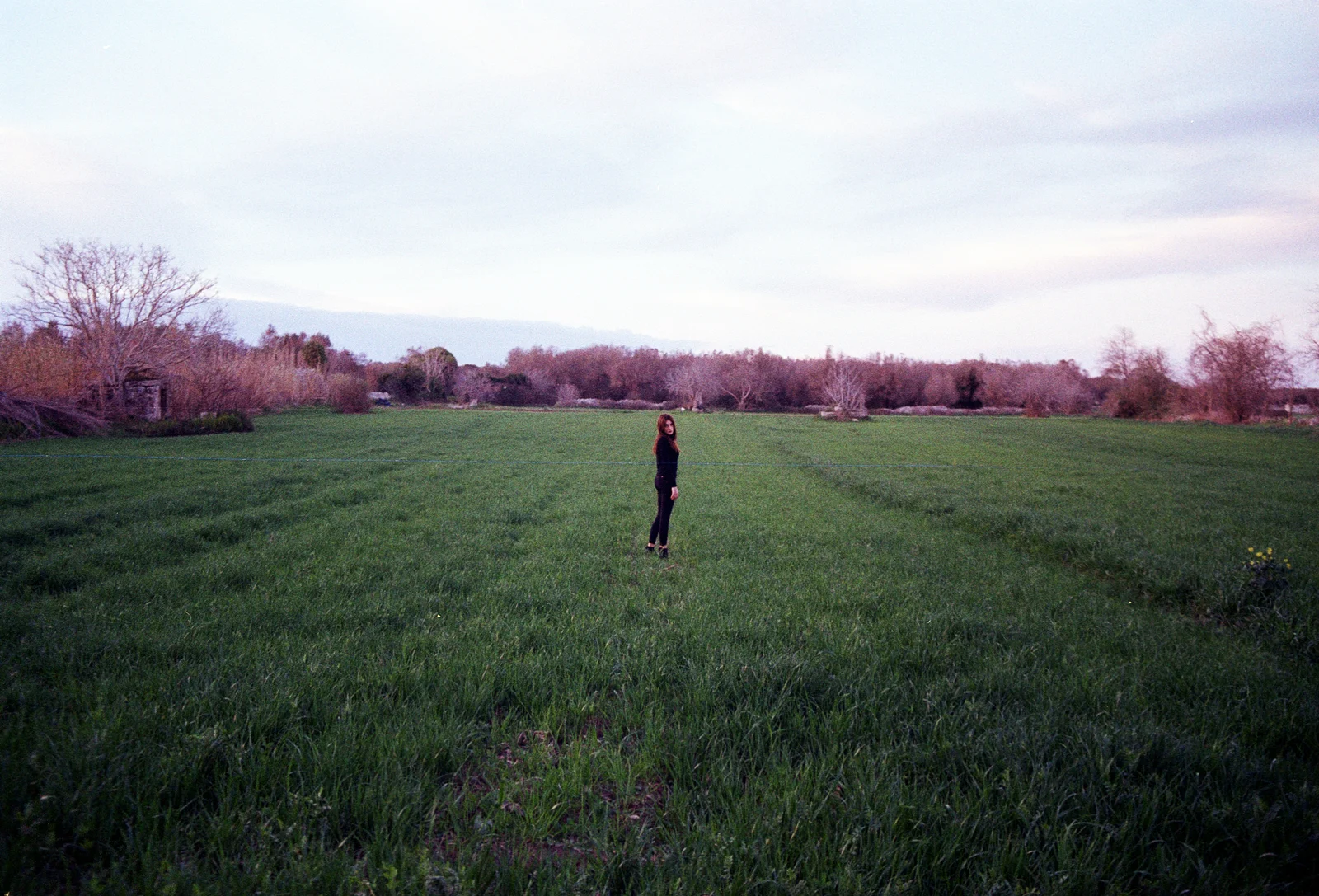 Safer in the forest — photograph 11