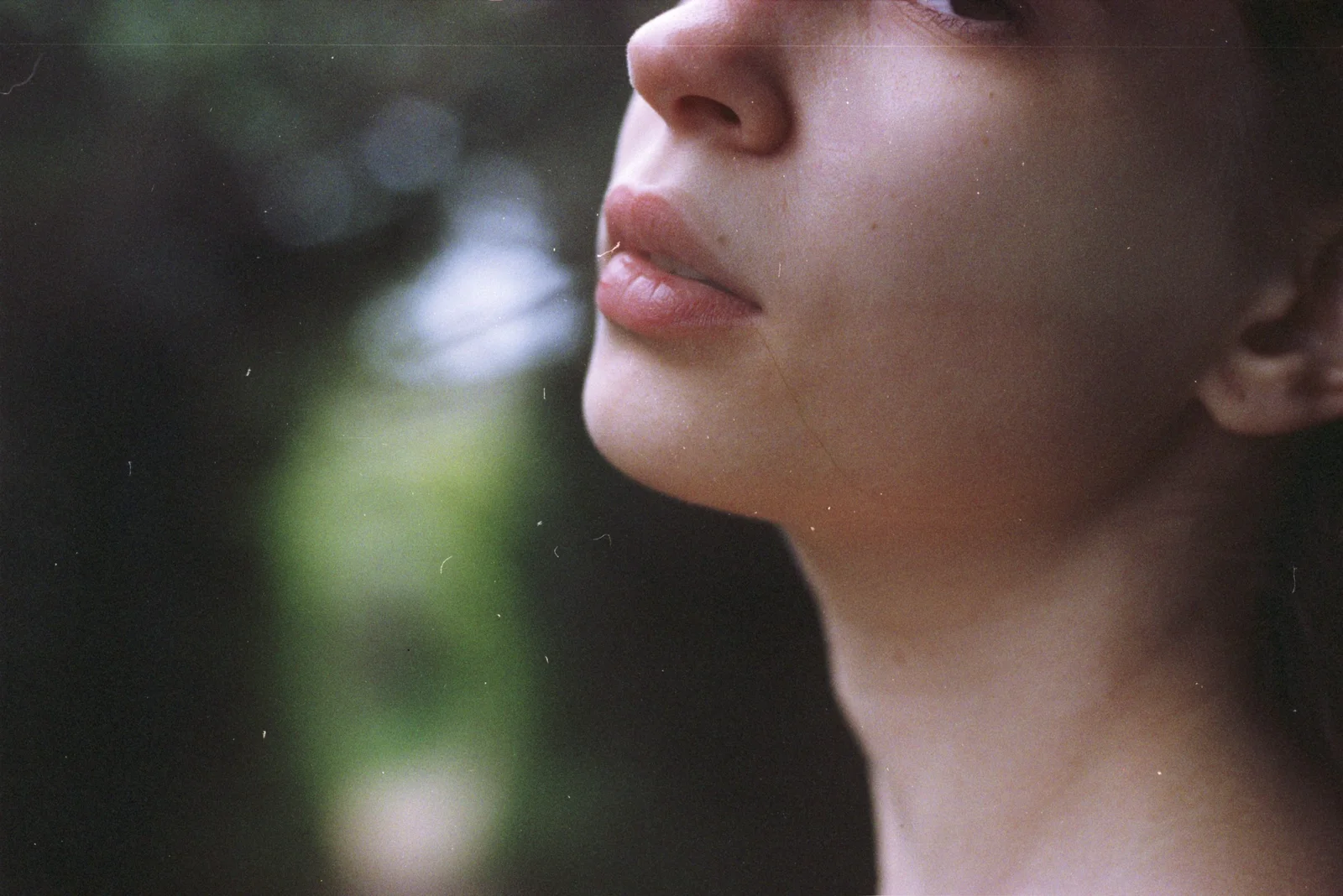 Medulla — photograph 11
