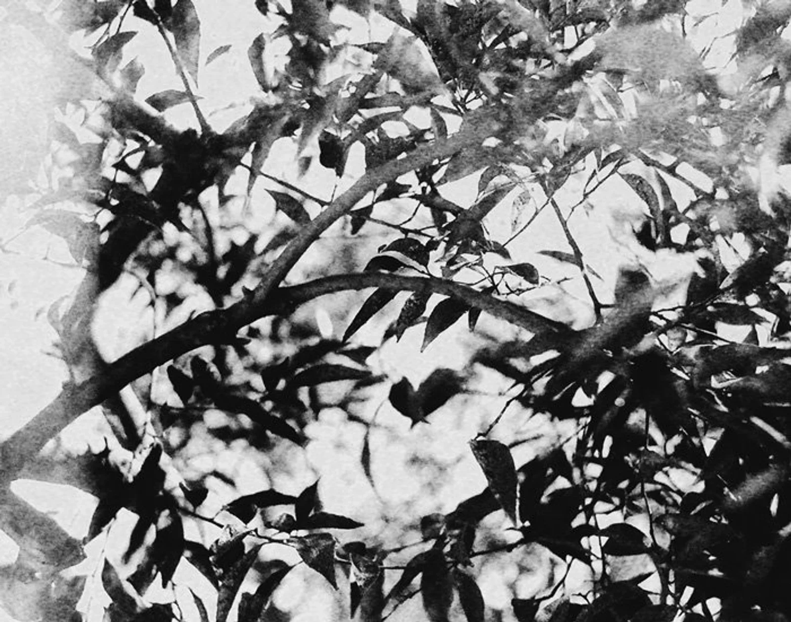 Diary, black and white — 112