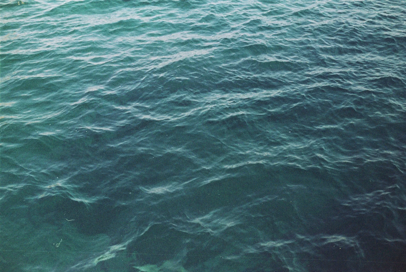 Diary, color — 111