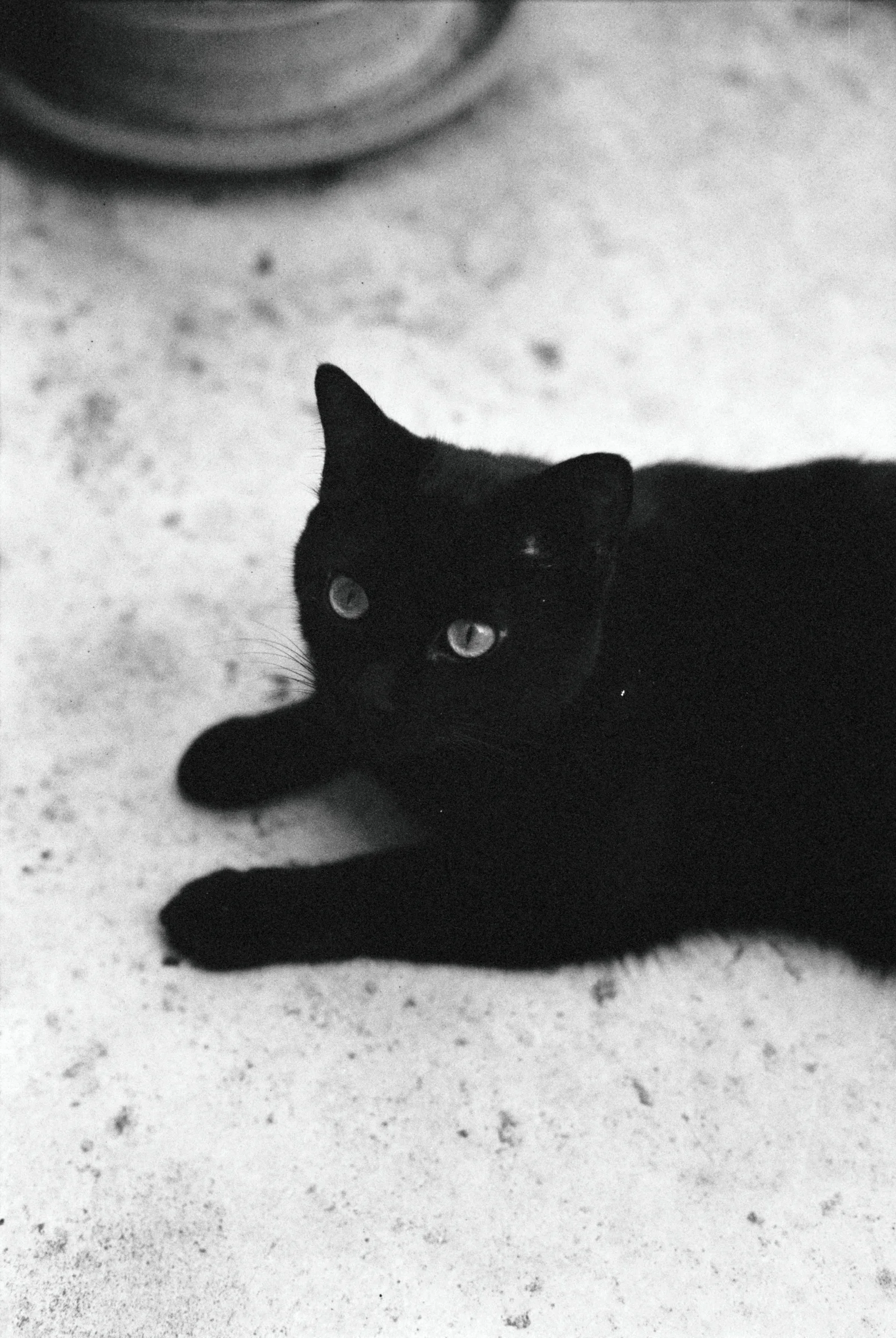 Diary, black and white — 6