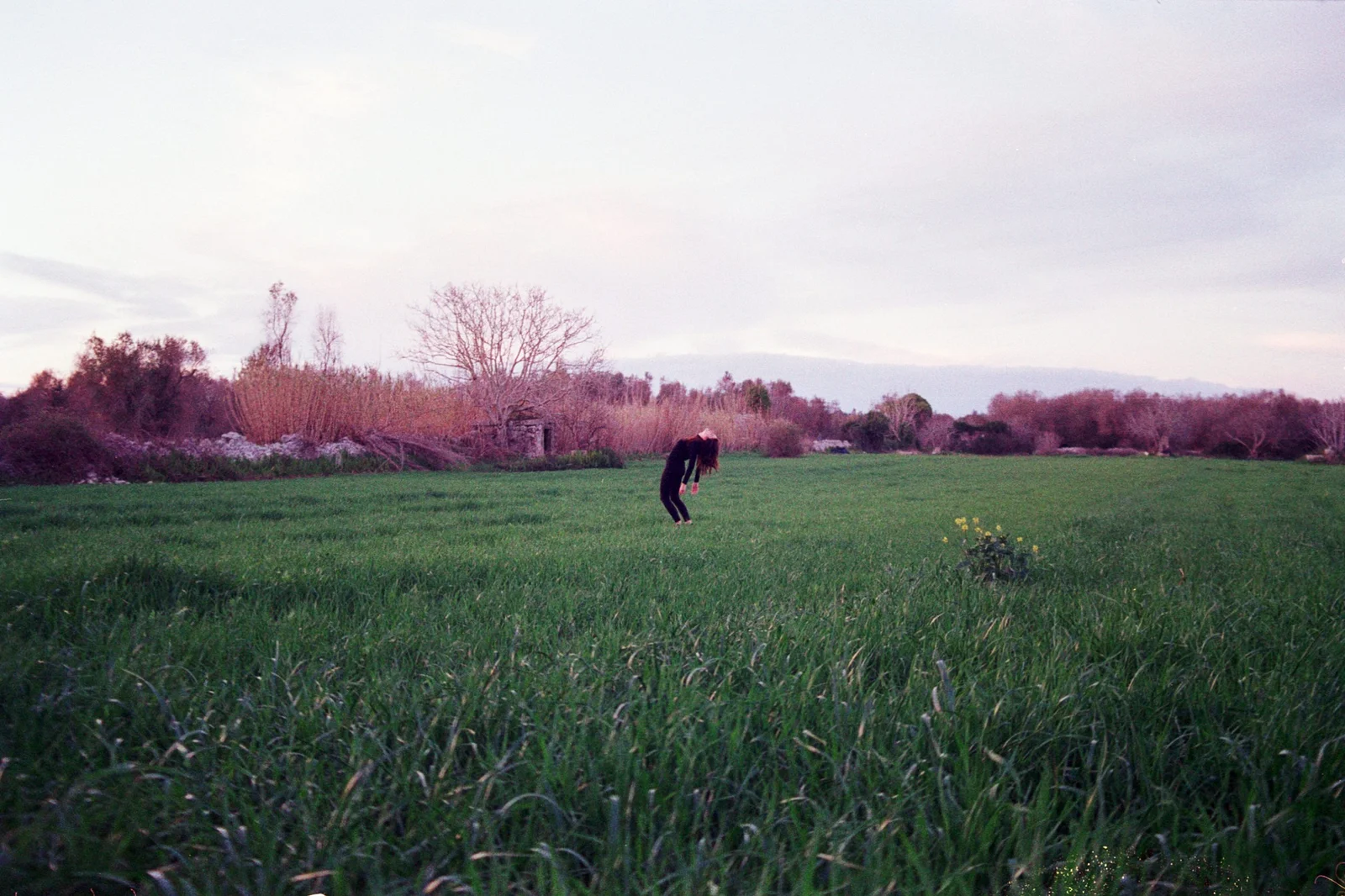 Safer in the forest — photograph 12
