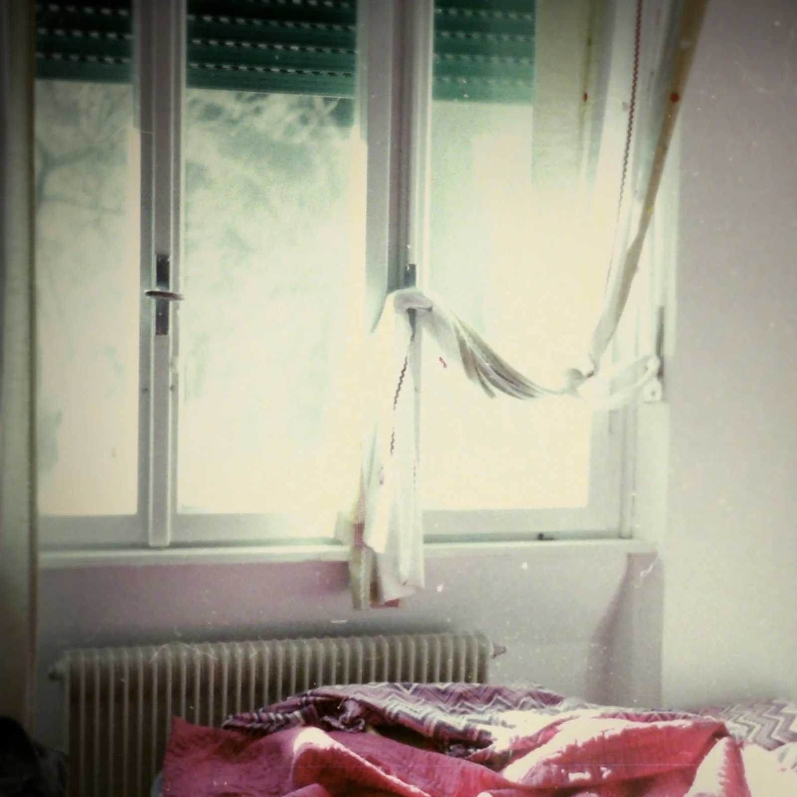 Diary, color — 213