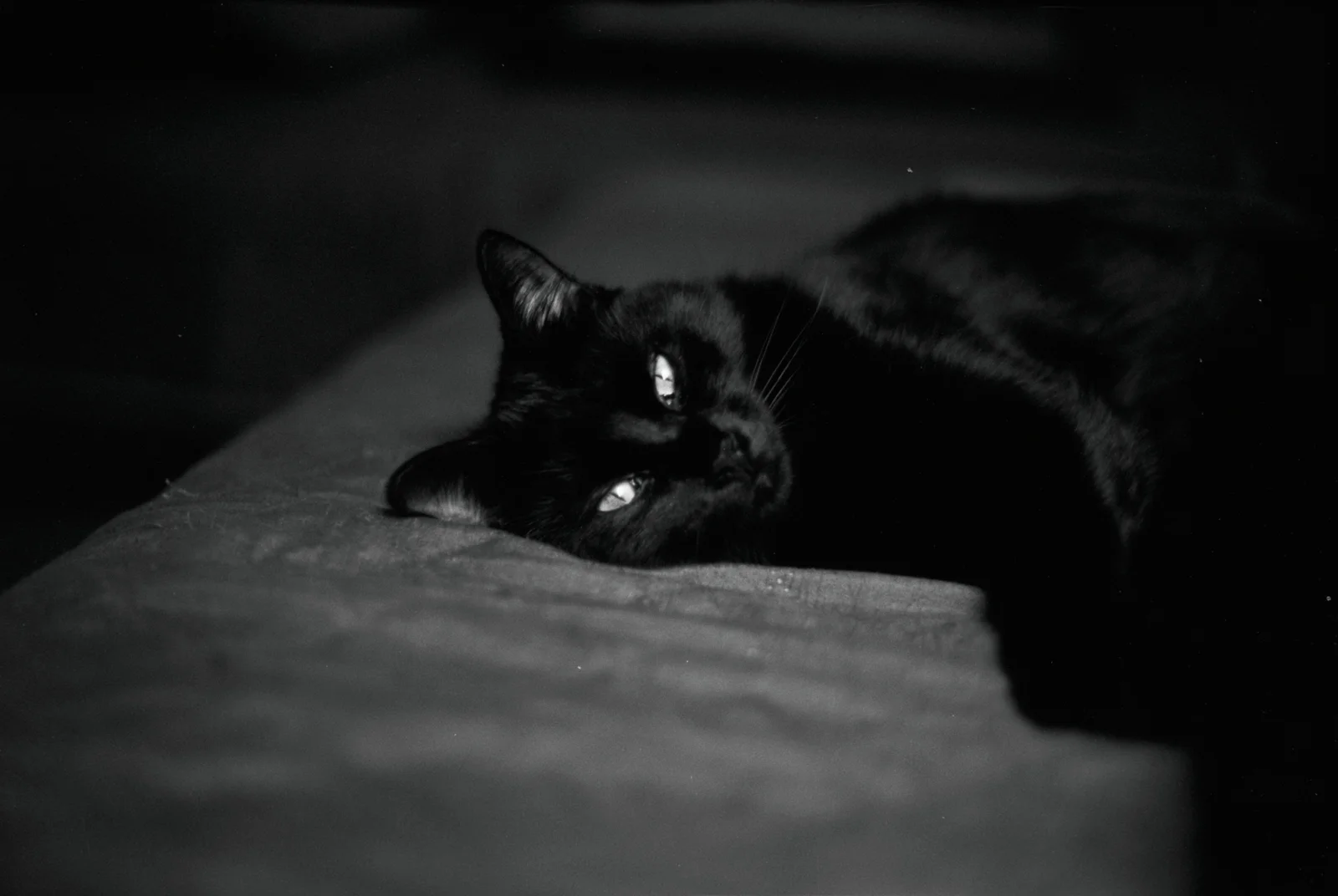 Diary, black and white — 1