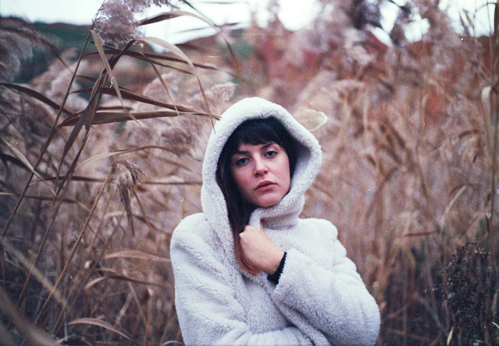 Diary, color — 100