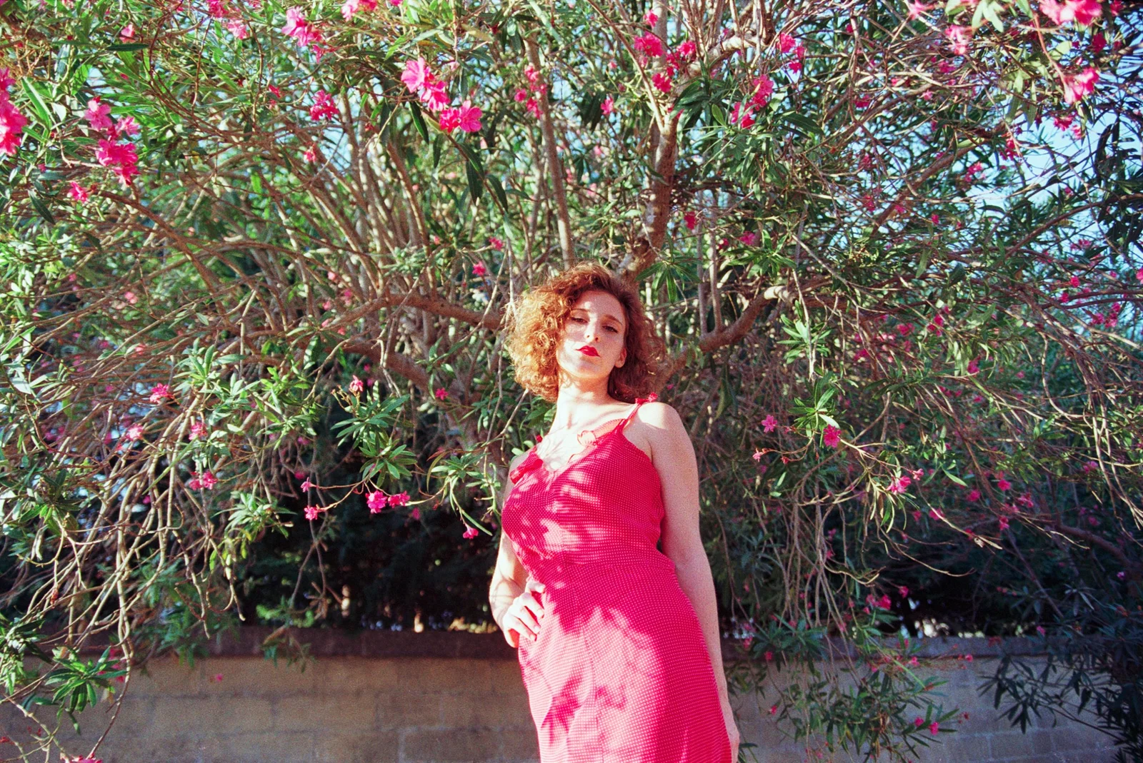 Marléne — photograph 13