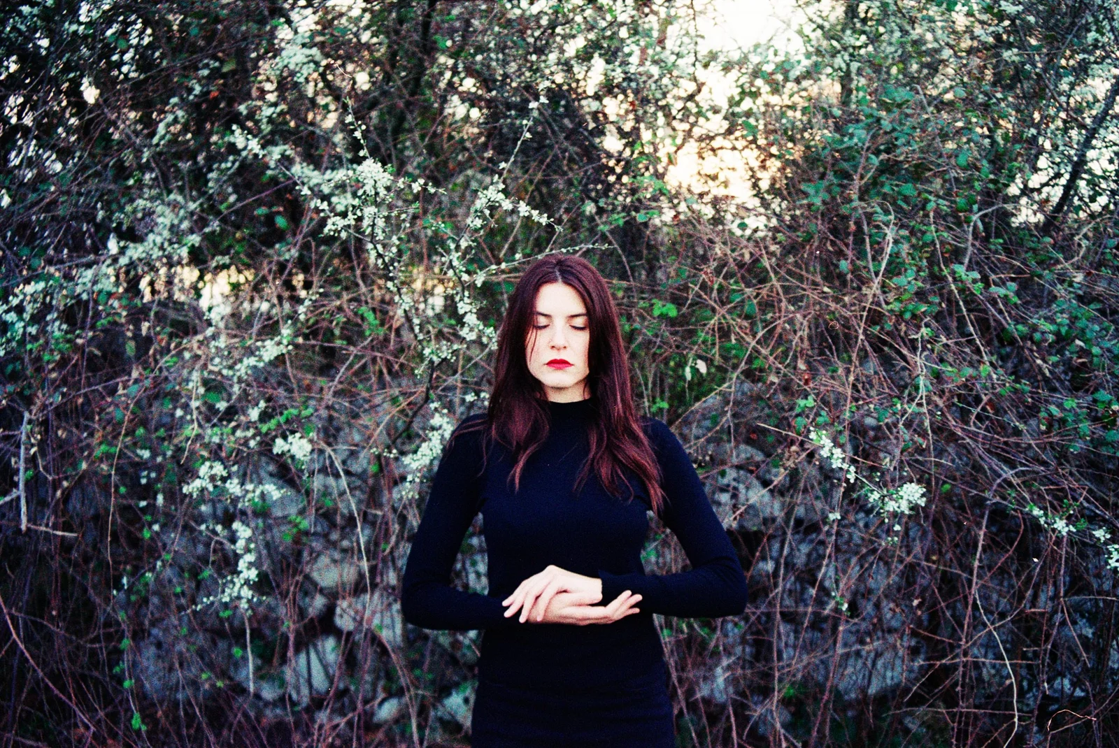 Safer in the forest — photograph 13