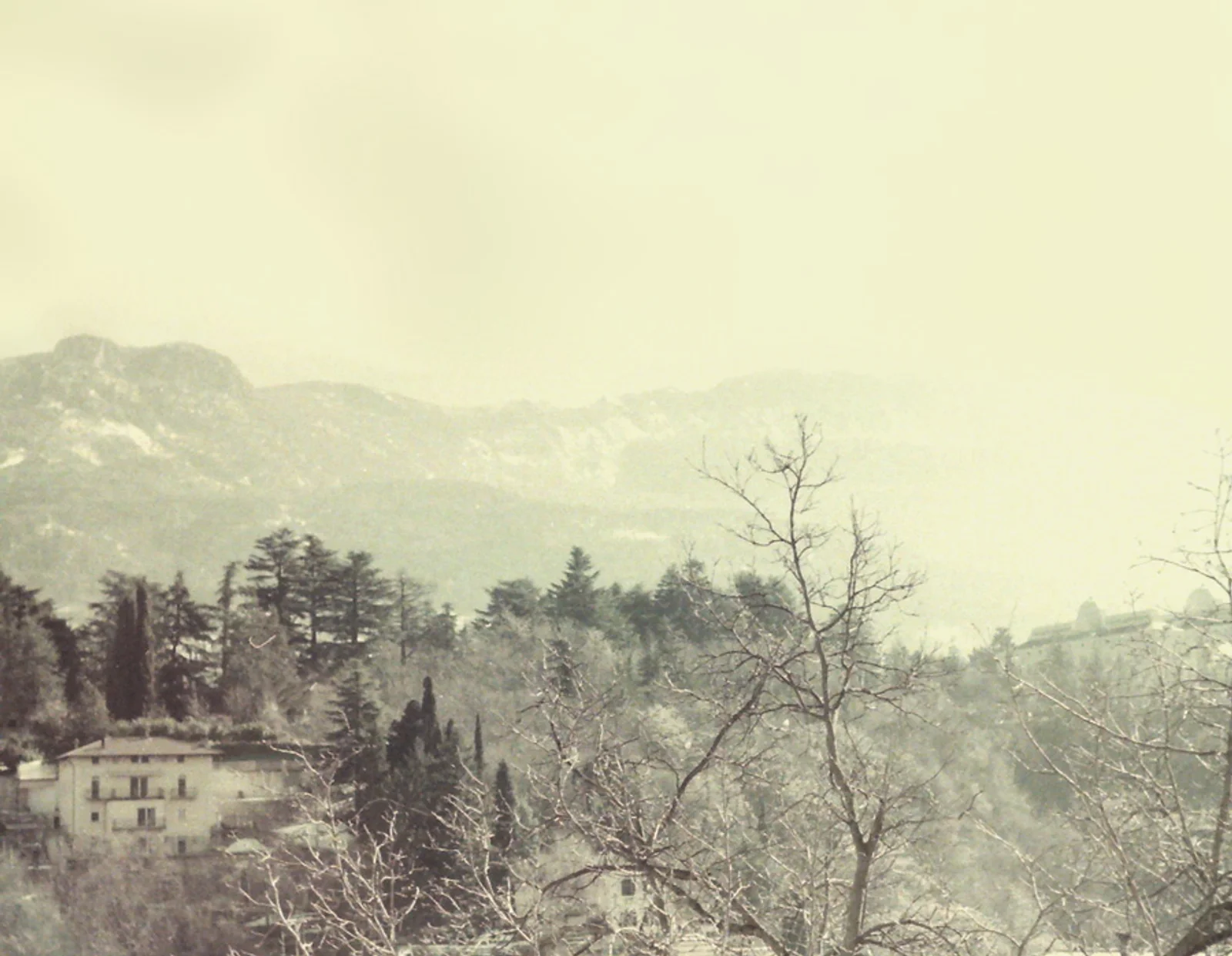 Diary, color — 212