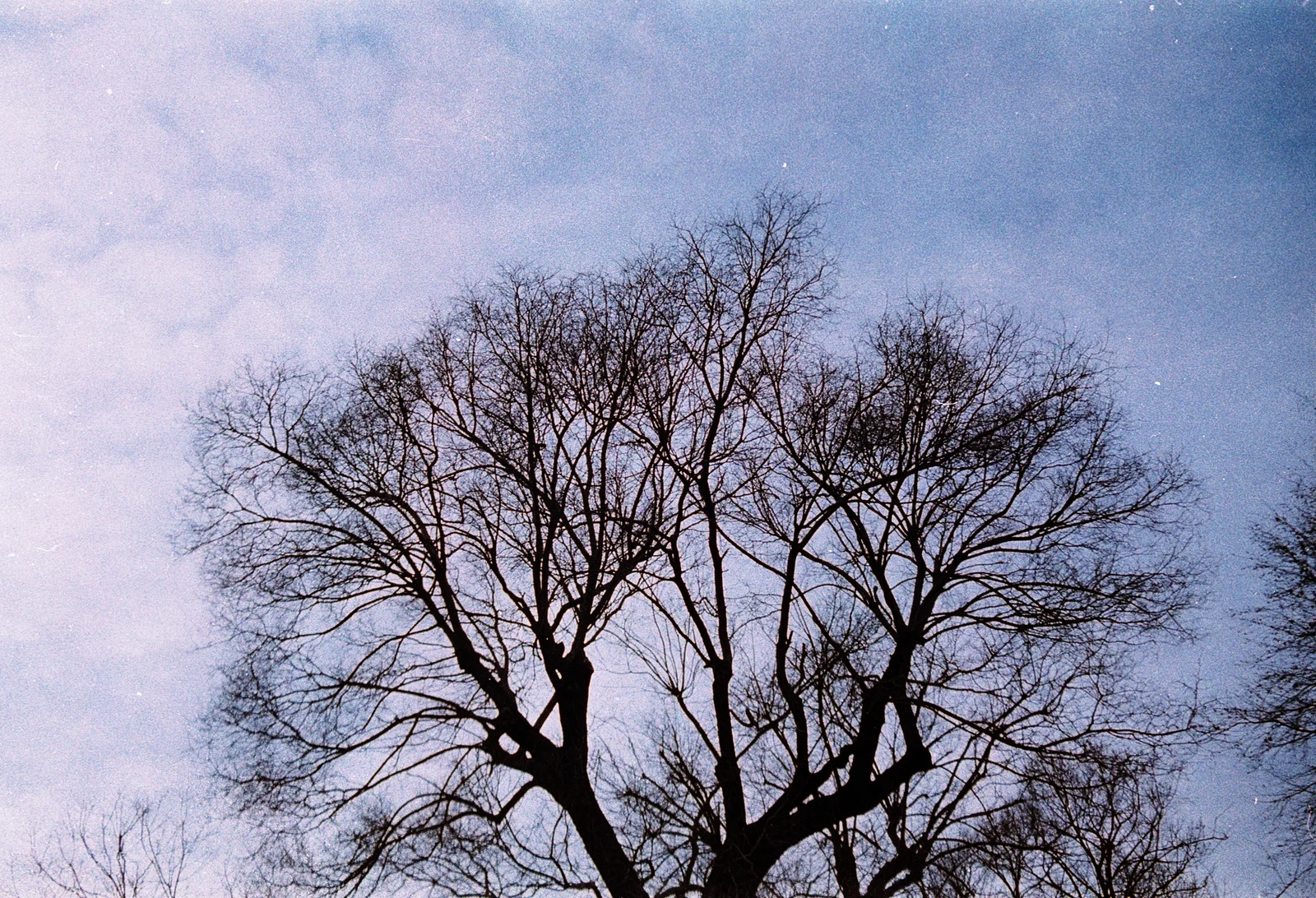 Diary, color — 88