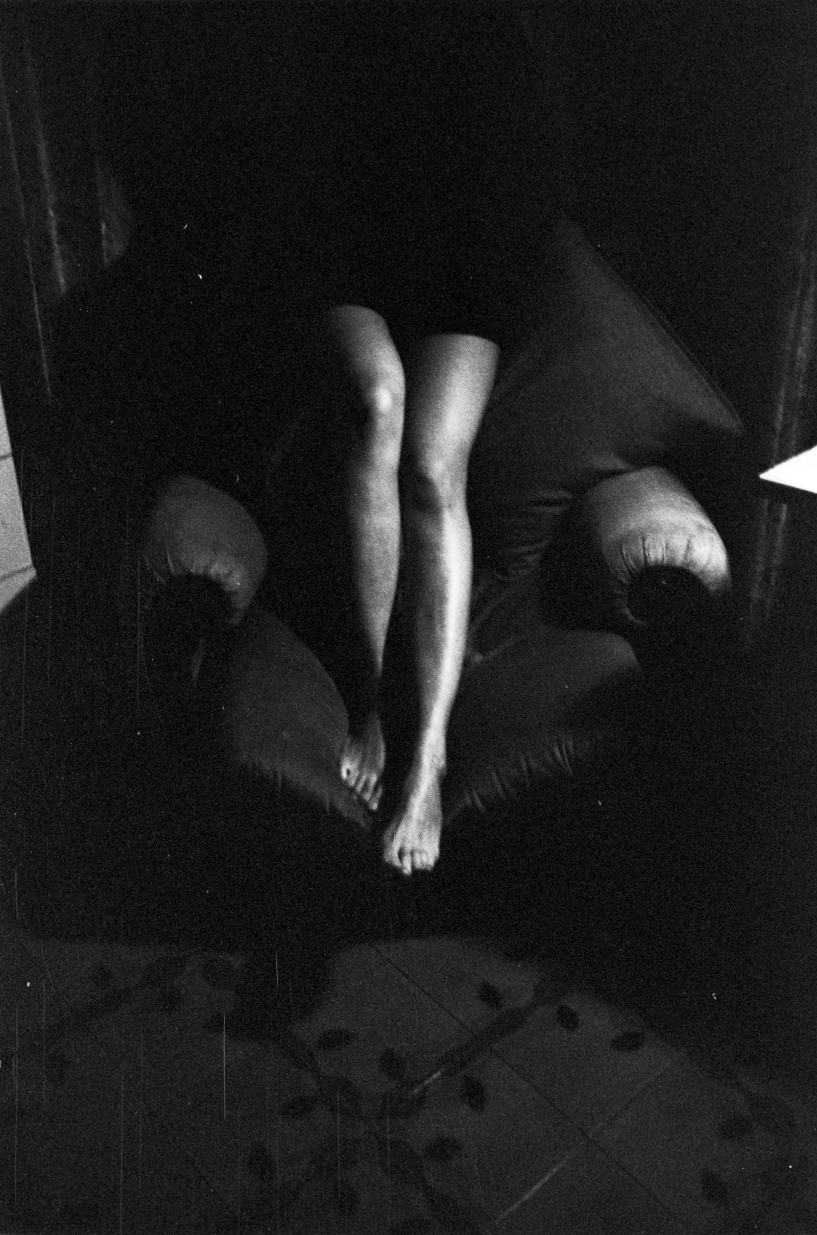 Dim — photograph 14