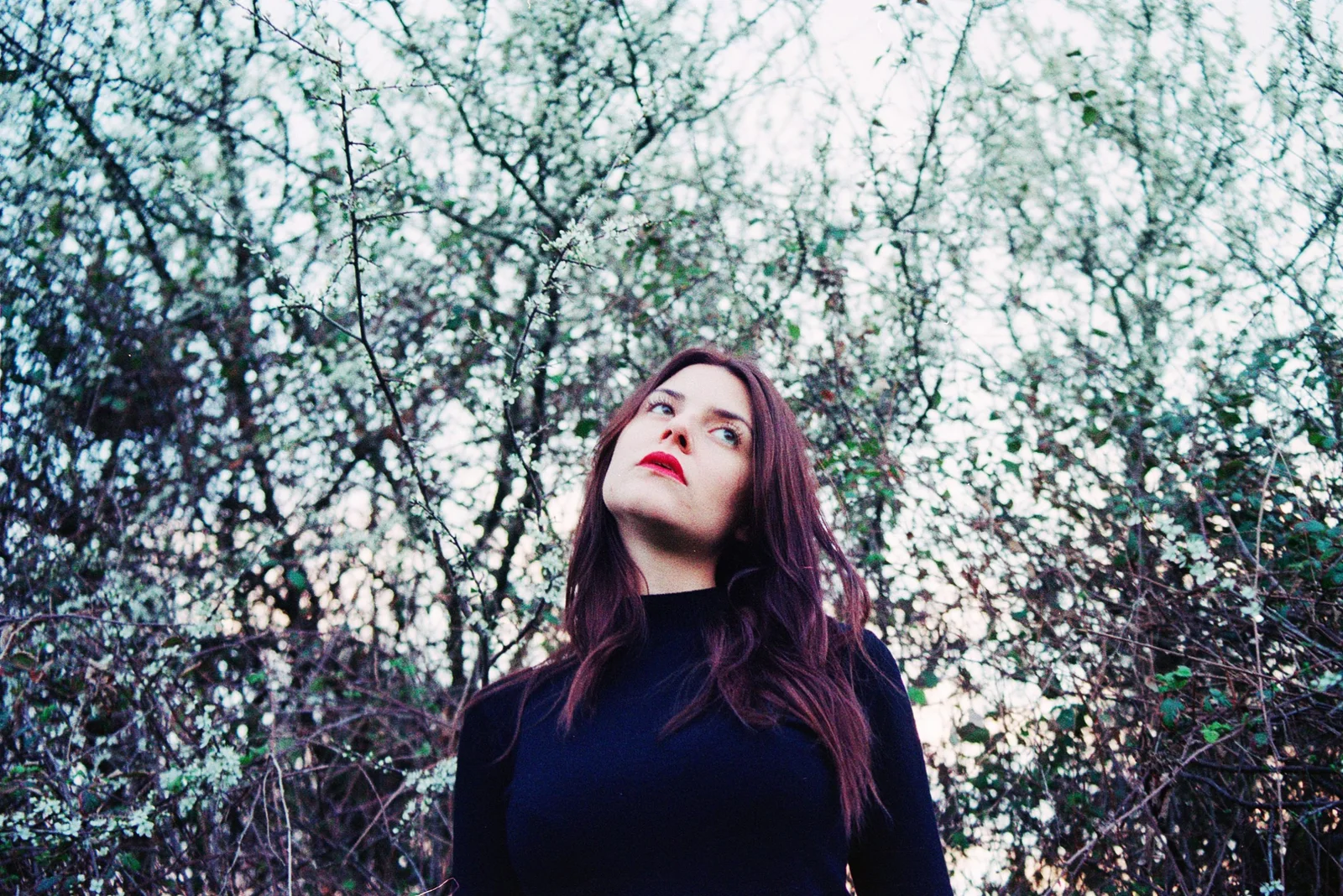 Safer in the forest — photograph 14