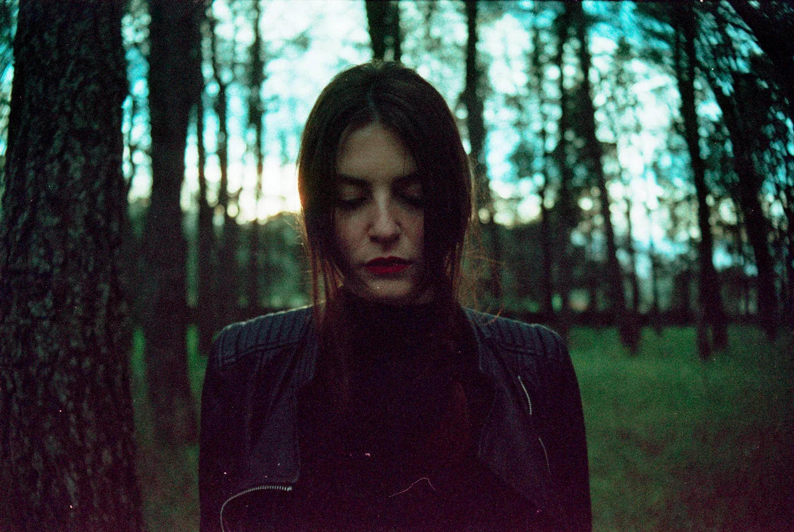 Safer in the forest — photograph 15