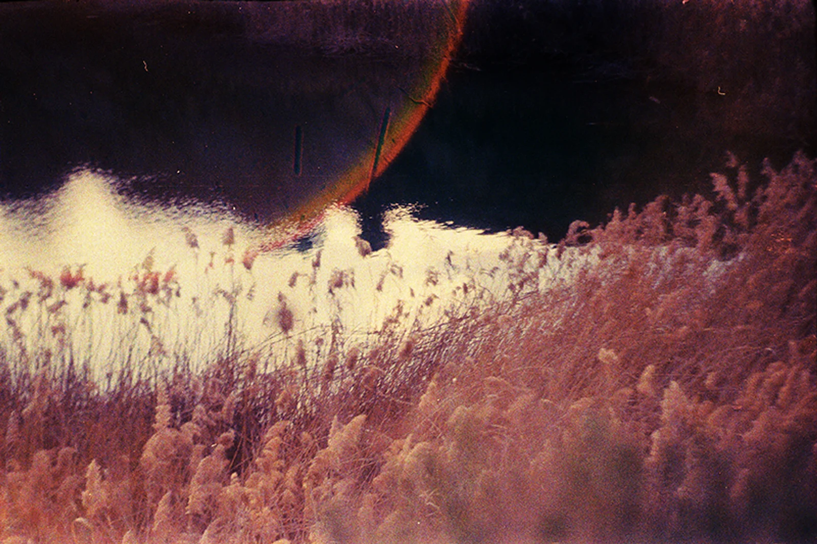 Diary, color — 67