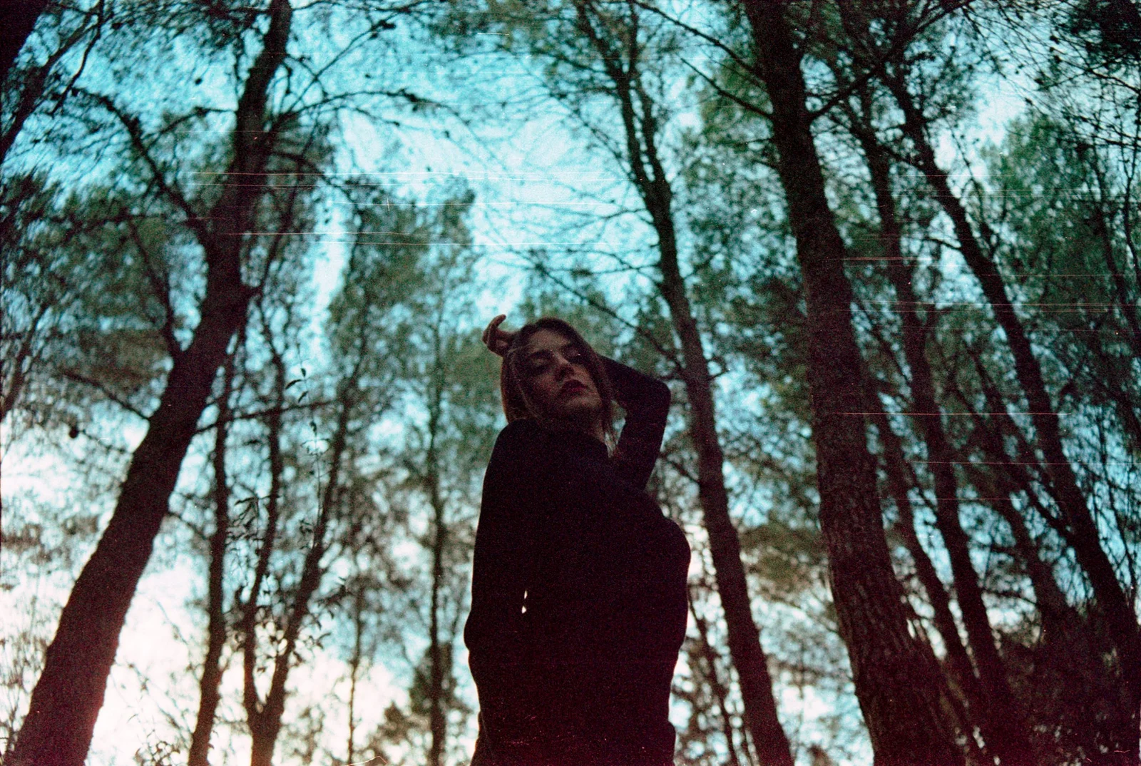 Safer in the forest — photograph 16