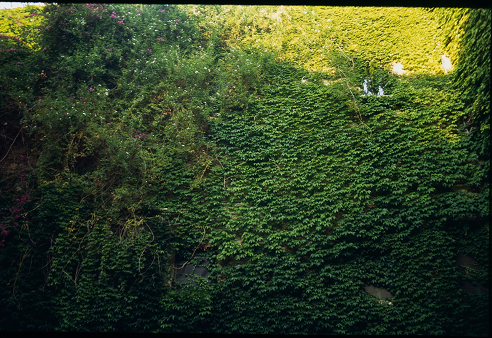 Diary, color — 62