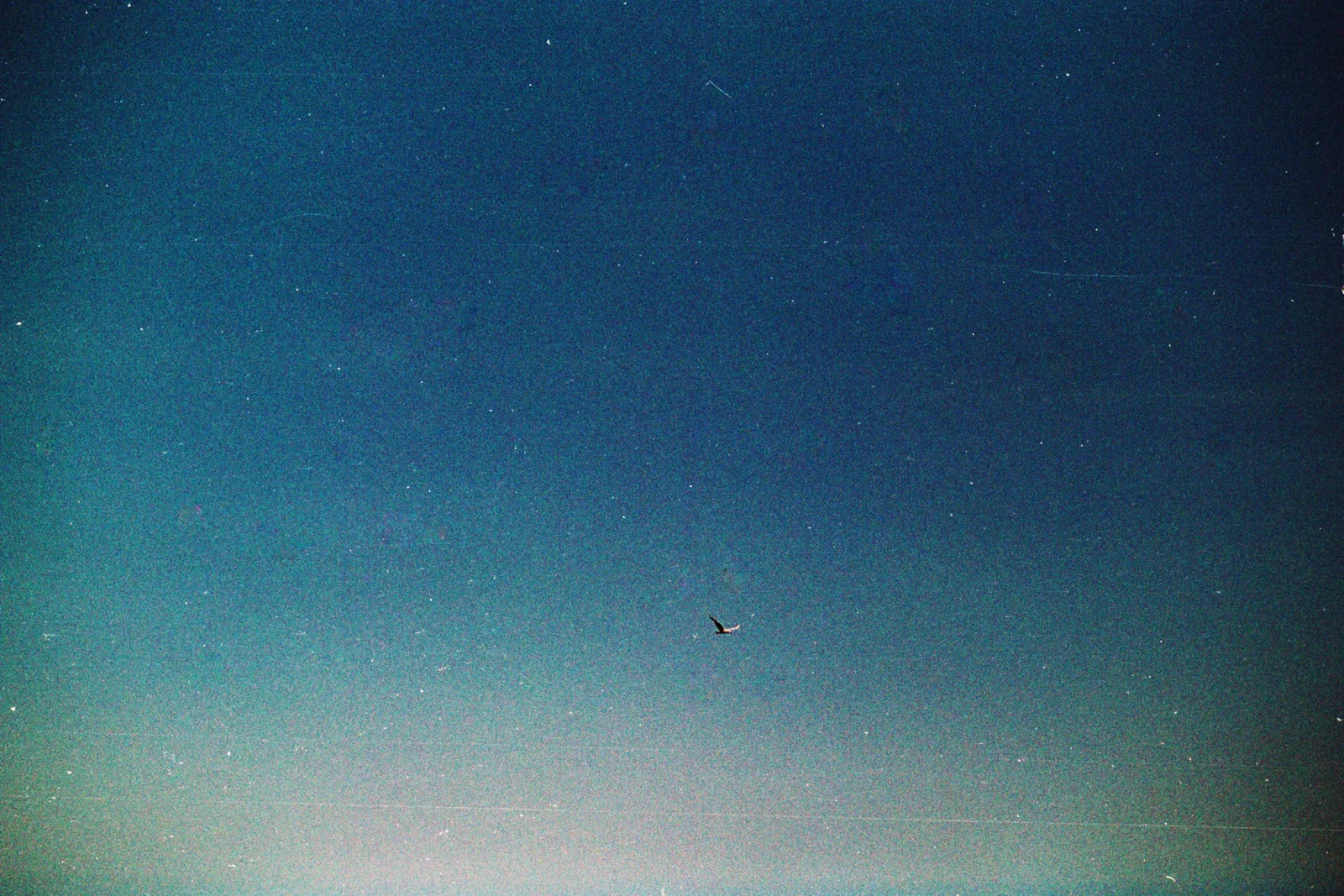 Diary, color — 59