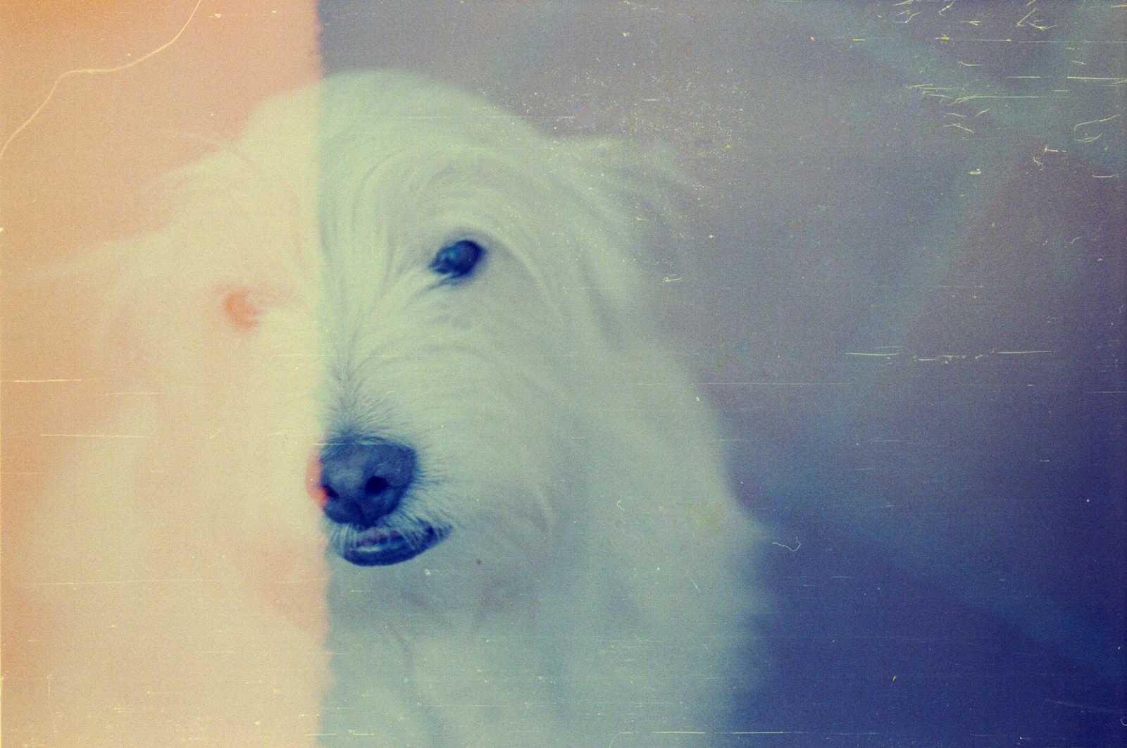 Diary, color — 57