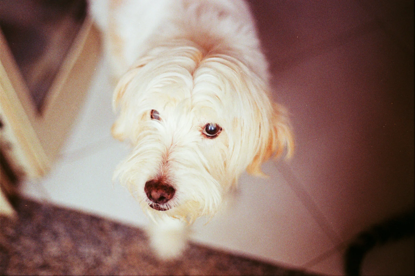 Diary, color — 56
