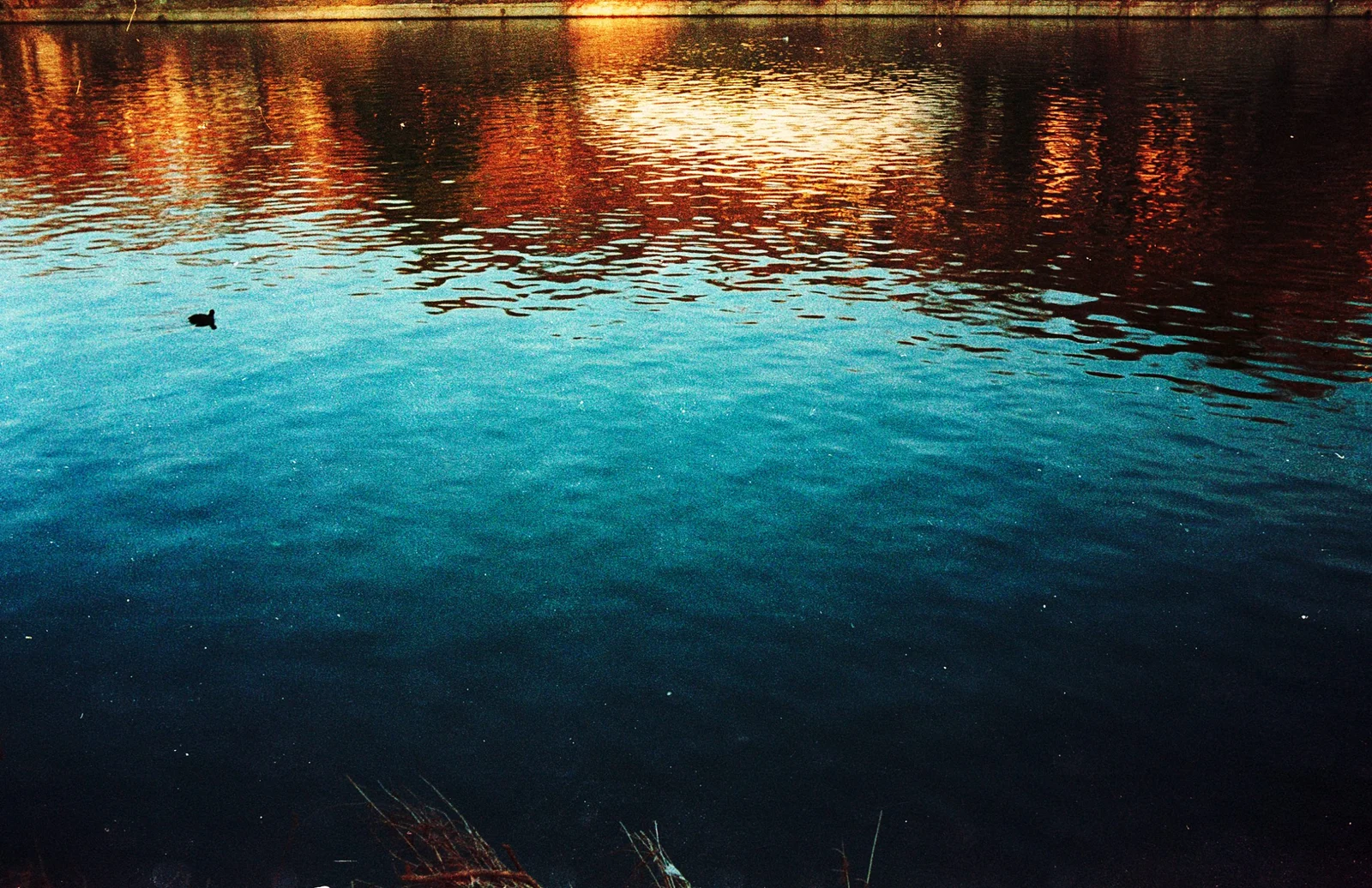 Diary, color — 53