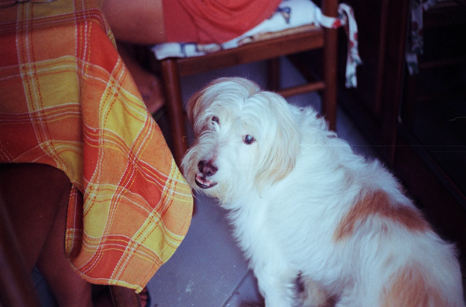 Diary, color — 48