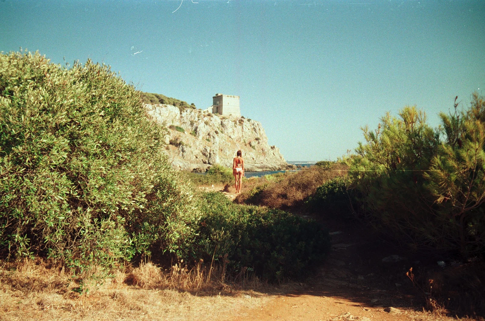 Diary, color — 44