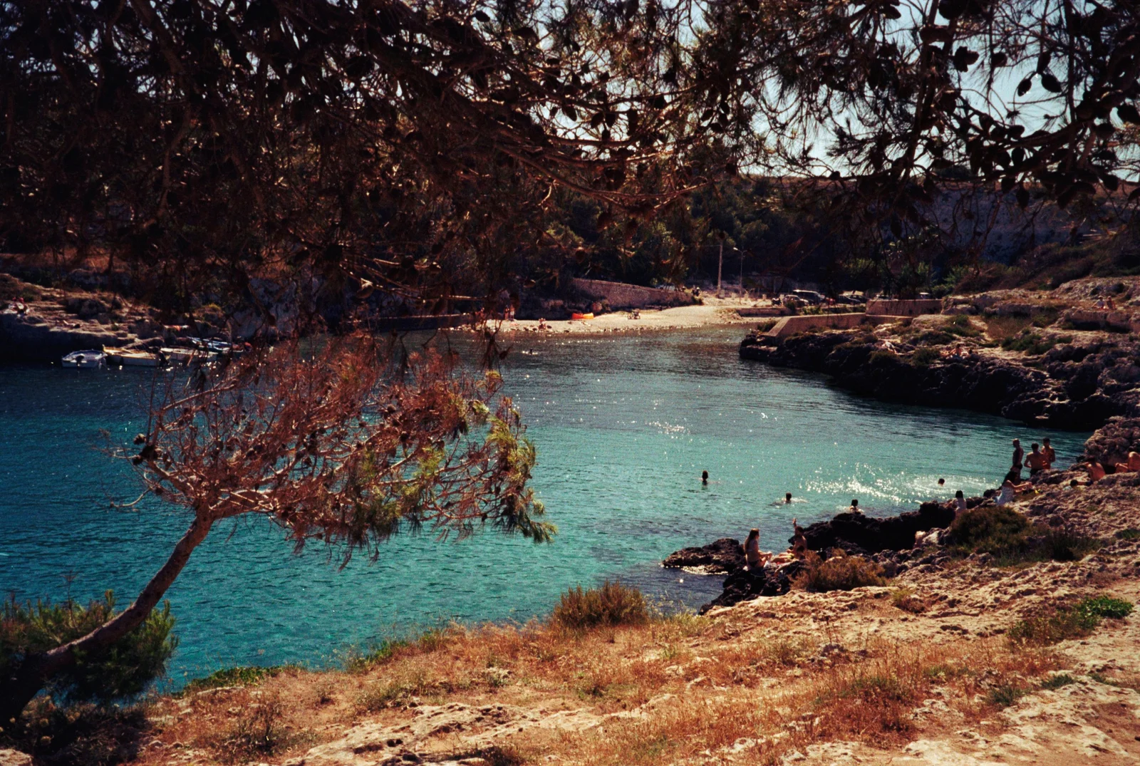 Diary, color — 14